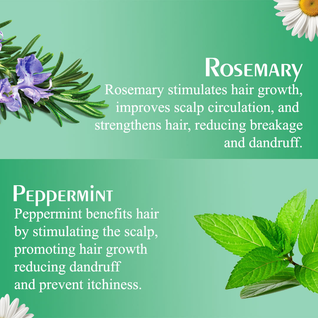 Olive Moisture Professional Rosemary And Mint Nourishing Shampoo