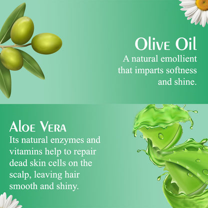 Olive Moisture Professional Curl Defining Detangling Shampoo